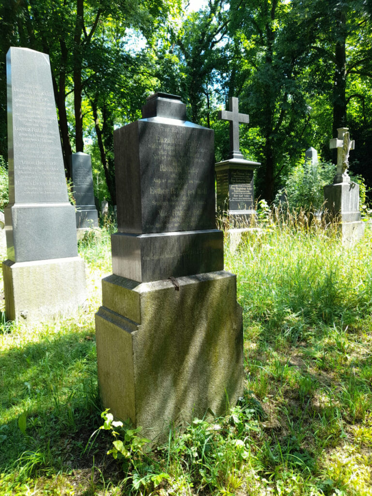 29 13 28 (hall · raby)