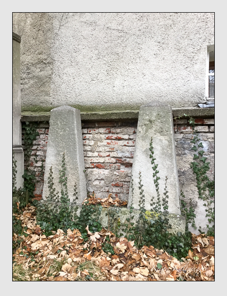 Kein grab ist stumm der friedhofsführer zum alten südfriedhof münchen