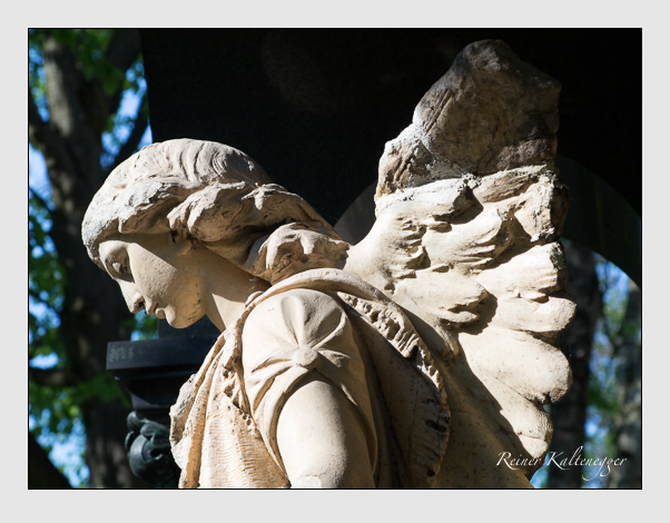 Kein grab ist stumm der friedhofsführer zum alten südfriedhof münchen