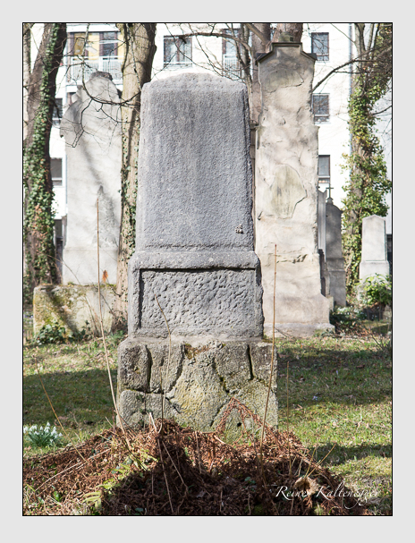 Kein grab ist stumm der friedhofsführer zum alten südfriedhof münchen
