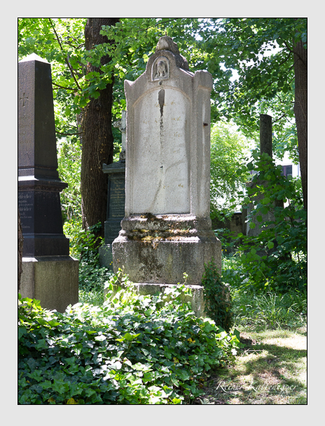 Kein grab ist stumm der friedhofsführer zum alten südfriedhof münchen