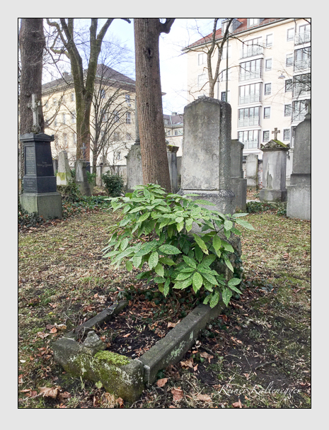 Kein grab ist stumm der friedhofsführer zum alten südfriedhof münchen
