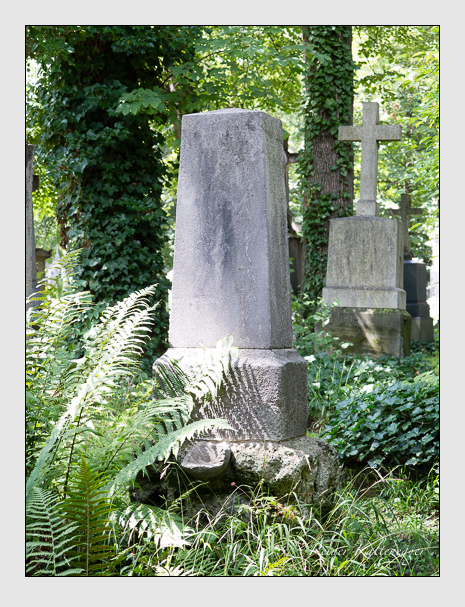 Kein grab ist stumm der friedhofsführer zum alten südfriedhof münchen