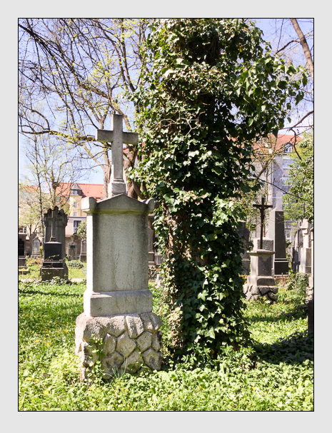 Kein grab ist stumm der friedhofsführer zum alten südfriedhof münchen