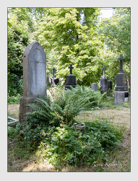 Kein grab ist stumm der friedhofsführer zum alten südfriedhof münchen