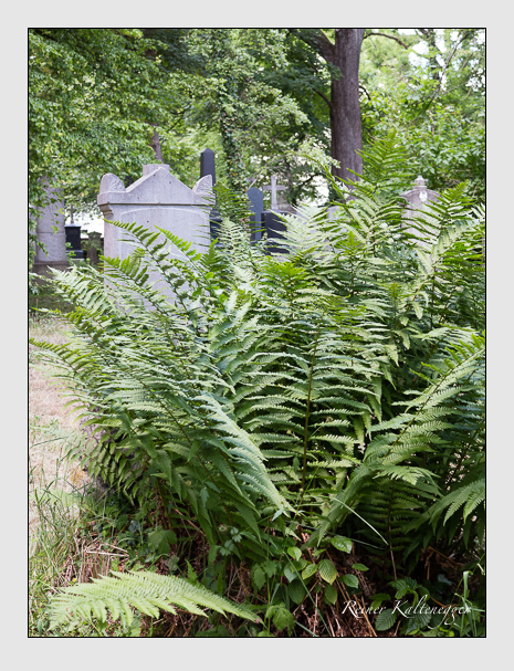 Kein grab ist stumm der friedhofsführer zum alten südfriedhof münchen