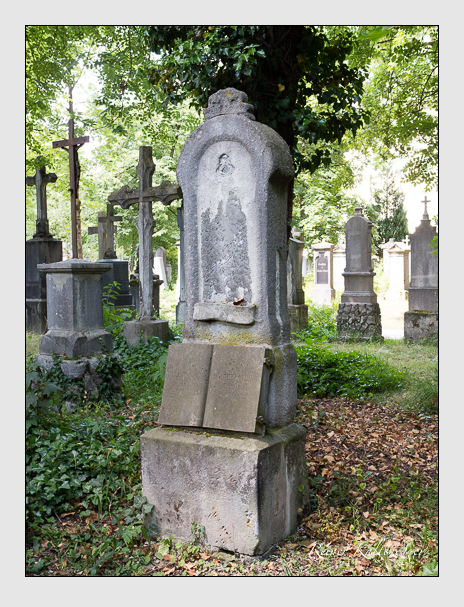 Kein grab ist stumm der friedhofsführer zum alten südfriedhof münchen