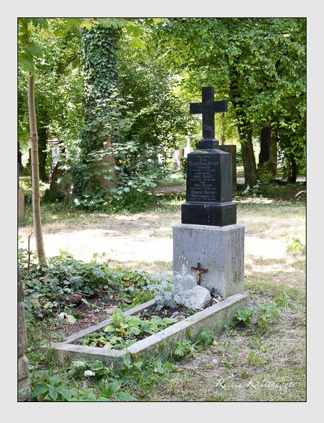 Kein grab ist stumm der friedhofsführer zum alten südfriedhof münchen