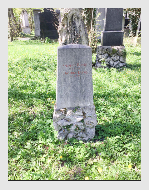 Kein grab ist stumm der friedhofsführer zum alten südfriedhof münchen