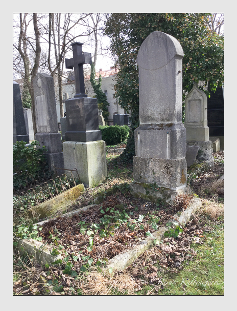 Kein grab ist stumm der friedhofsführer zum alten südfriedhof münchen