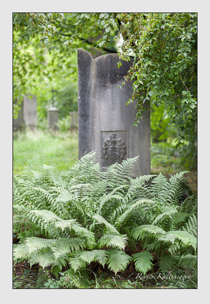 Kein grab ist stumm der friedhofsführer zum alten südfriedhof münchen