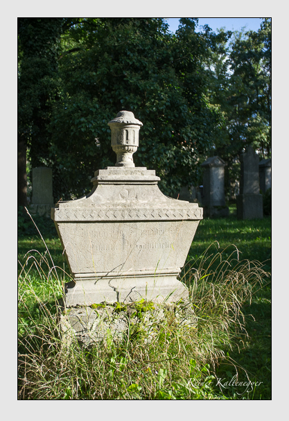 Kein grab ist stumm der friedhofsführer zum alten südfriedhof münchen