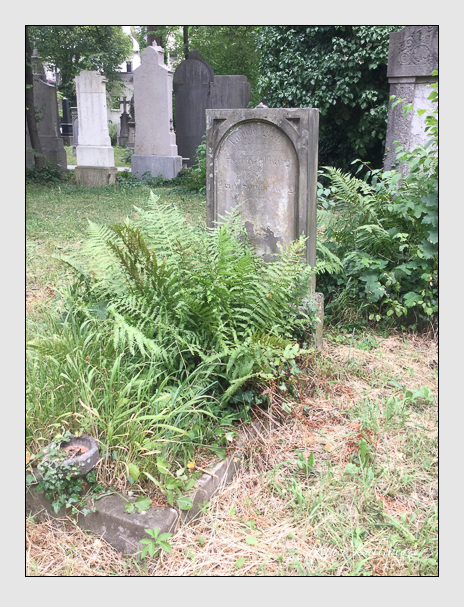 Kein grab ist stumm der friedhofsführer zum alten südfriedhof münchen