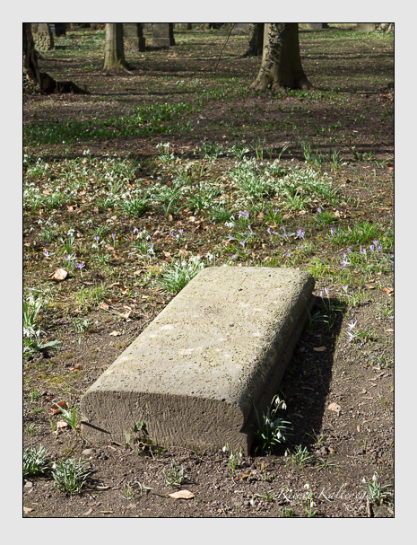 Kein grab ist stumm der friedhofsführer zum alten südfriedhof münchen