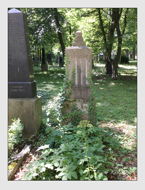 Kein grab ist stumm der friedhofsführer zum alten südfriedhof münchen