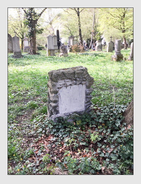 05 05 19 (gernet)