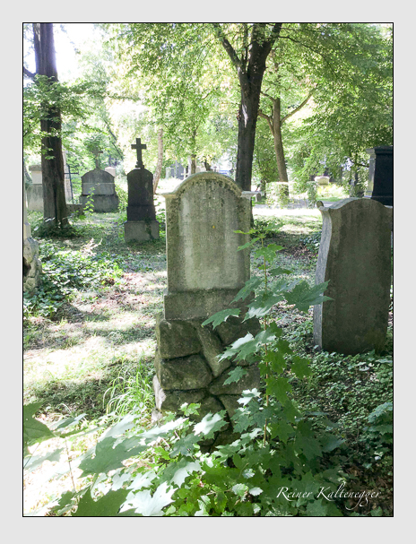 Kein grab ist stumm der friedhofsführer zum alten südfriedhof münchen
