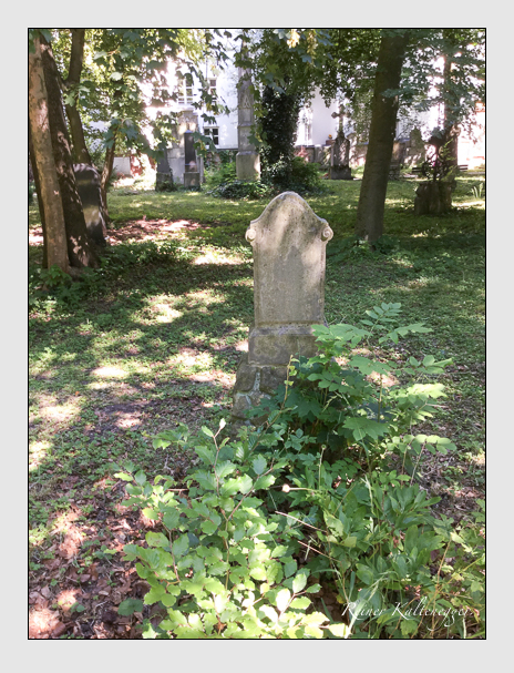 Kein grab ist stumm der friedhofsführer zum alten südfriedhof münchen