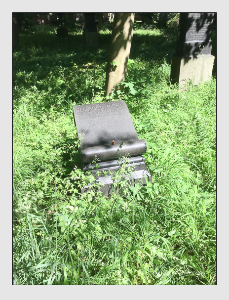 Kein grab ist stumm der friedhofsführer zum alten südfriedhof münchen