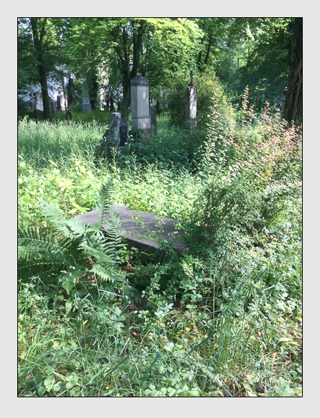 Kein grab ist stumm der friedhofsführer zum alten südfriedhof münchen