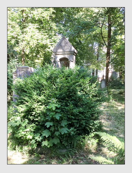 Kein grab ist stumm der friedhofsführer zum alten südfriedhof münchen