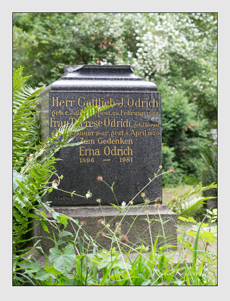 Kein grab ist stumm der friedhofsführer zum alten südfriedhof münchen