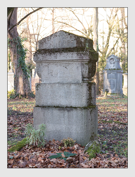 Kein grab ist stumm der friedhofsführer zum alten südfriedhof münchen