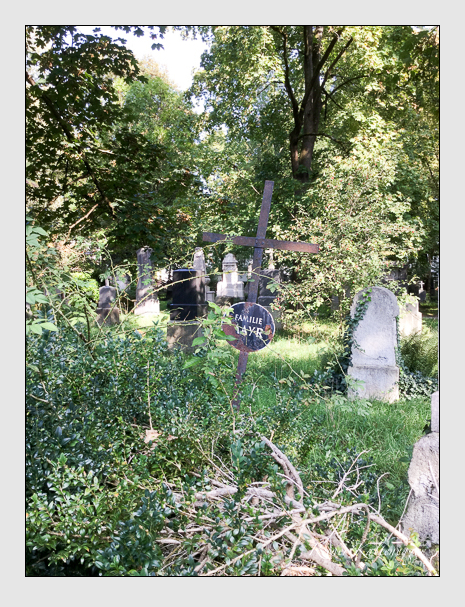 Kein grab ist stumm der friedhofsführer zum alten südfriedhof münchen