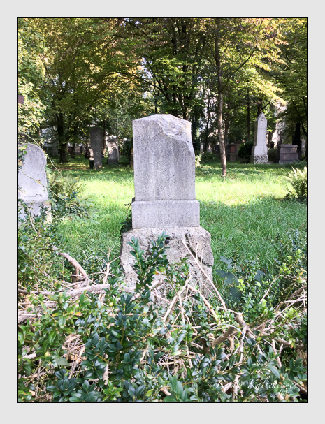 Kein grab ist stumm der friedhofsführer zum alten südfriedhof münchen