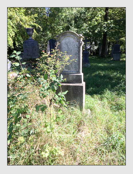 Kein grab ist stumm der friedhofsführer zum alten südfriedhof münchen