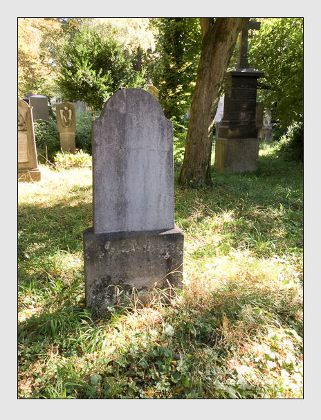 Kein grab ist stumm der friedhofsführer zum alten südfriedhof münchen