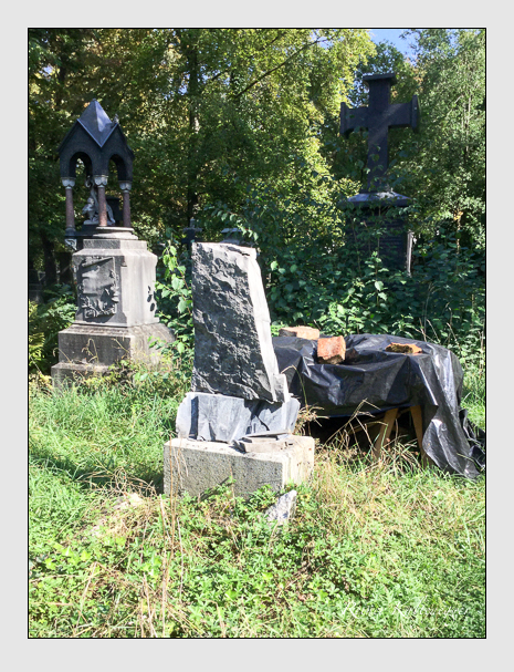 Kein grab ist stumm der friedhofsführer zum alten südfriedhof münchen