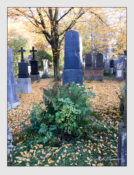Kein grab ist stumm der friedhofsführer zum alten südfriedhof münchen