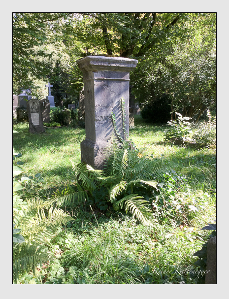 Kein grab ist stumm der friedhofsführer zum alten südfriedhof münchen