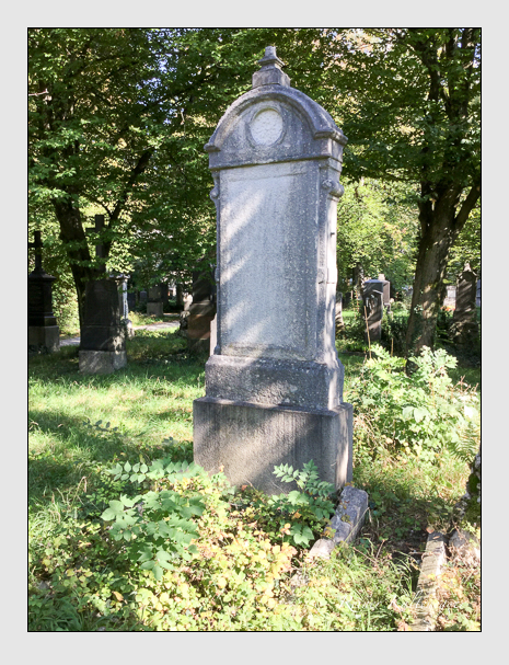 Kein grab ist stumm der friedhofsführer zum alten südfriedhof münchen