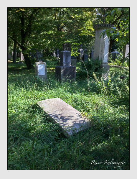 Kein grab ist stumm der friedhofsführer zum alten südfriedhof münchen