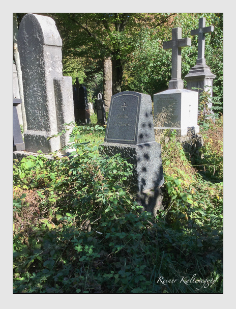 Kein grab ist stumm der friedhofsführer zum alten südfriedhof münchen