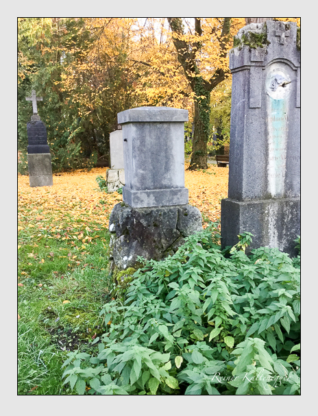 Kein grab ist stumm der friedhofsführer zum alten südfriedhof münchen