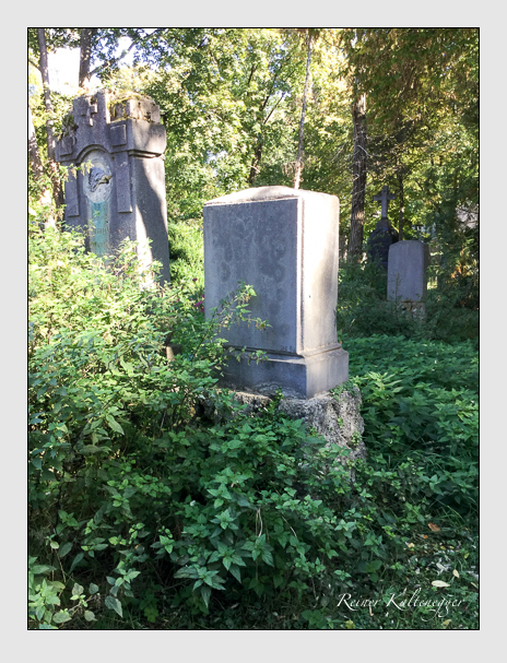 Kein grab ist stumm der friedhofsführer zum alten südfriedhof münchen