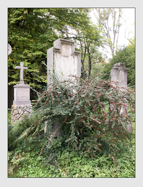Kein grab ist stumm der friedhofsführer zum alten südfriedhof münchen