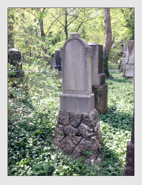 07 04 04 (hammerschmid)