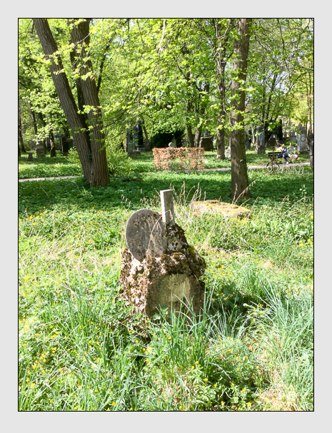 07 04 23 (menzinger)