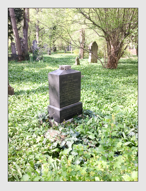 07 04 44 (bogner · glötzner · schierlitz)