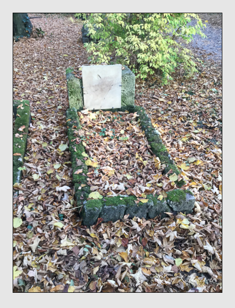 Kein grab ist stumm der friedhofsführer zum alten südfriedhof münchen