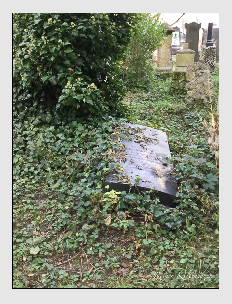 Kein grab ist stumm der friedhofsführer zum alten südfriedhof münchen