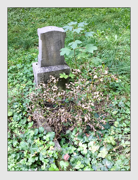 Kein grab ist stumm der friedhofsführer zum alten südfriedhof münchen