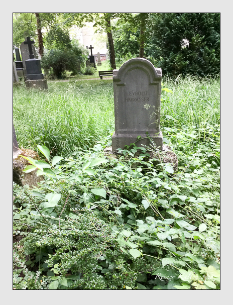 Kein grab ist stumm der friedhofsführer zum alten südfriedhof münchen