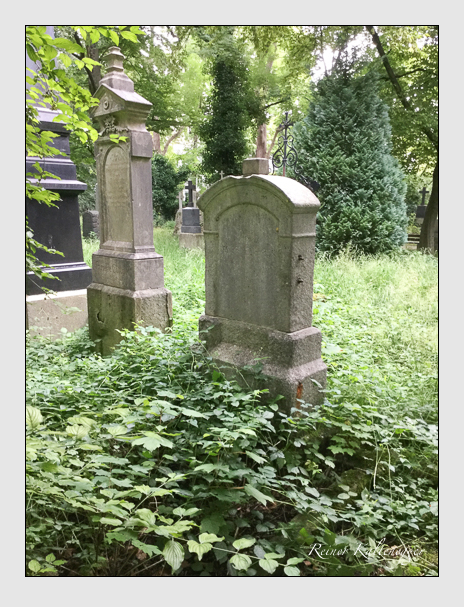 Kein grab ist stumm der friedhofsführer zum alten südfriedhof münchen
