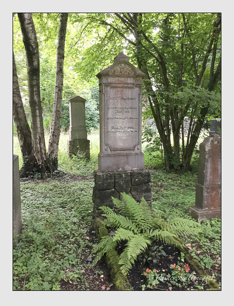 Kein grab ist stumm der friedhofsführer zum alten südfriedhof münchen