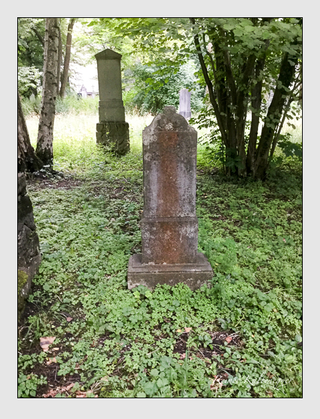 Kein grab ist stumm der friedhofsführer zum alten südfriedhof münchen